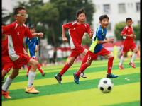 阿森纳VS巴黎圣日耳曼直播_阿森纳VS巴黎圣日耳曼免费直播在线直播